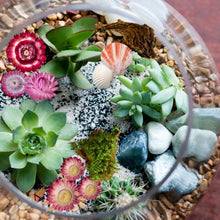 Load image into Gallery viewer, SAT 6/8 Terrarium Class w/ plants and dried flowers
