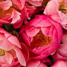 Load image into Gallery viewer, Mother&#39;s Day Peony Bouquet